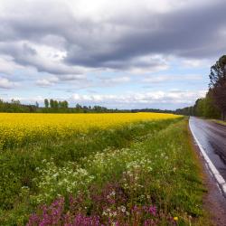 Trzebownisko 1 viesnīca