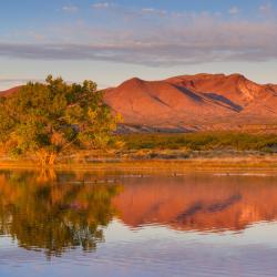 Truth or Consequences 5 Unterk&uuml;nfte zur Selbstverpflegung