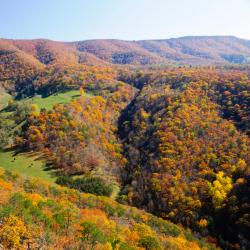 Buckhannon 3 hotels
