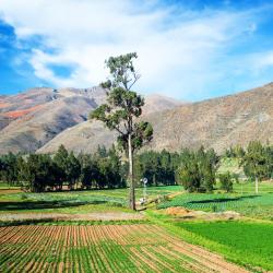 Tarma 11 hotels