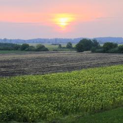 F&uuml;zesgyarmat 3 hot&eacute;is com estacionamento