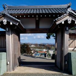 Matsumae 1 hotel