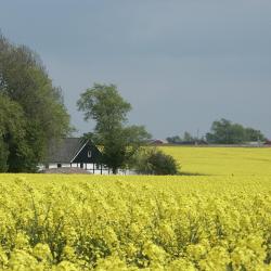Skurup 10 hotels
