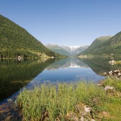Svidalen 1 hotel
