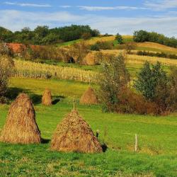 Durău 13 of the guest houses