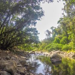 Barú 15 of the campsites