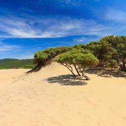 Piscinas 8 vacation rentals