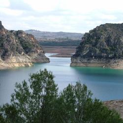 Saced&oacute;n 4 hoteles que admiten mascotas