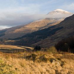 Crianlarich 23 of the cottages