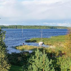 Rajgród 10 holiday rentals