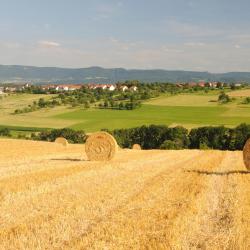 Cvyzelis 59 viešbučiai