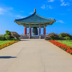 San Pedro 6 vacation rentals
