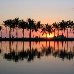 Waikoloa 544 hotelů
