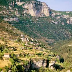 Le Malzieu-Ville 8 hôtels pas chers