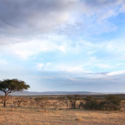 Naboisho 6 hotels