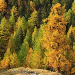 Ipsach 3 hotels with parking