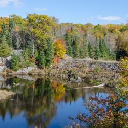 Algonquin Highlands 16 hytter