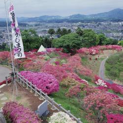 Kasama 7 family hotels