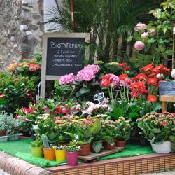 Rib&eacute;rac 8 hot&eacute;is com piscina