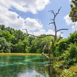 Dunnellon 50 hotelů