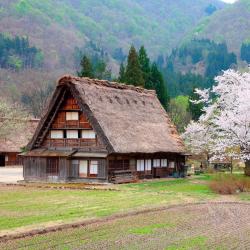 Nanto 12 guest houses