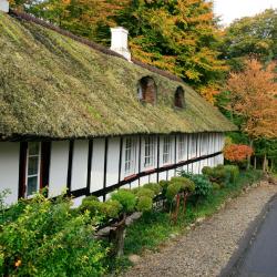 Toftlund 4 luxury hotels