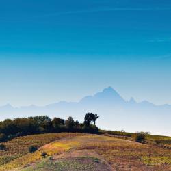 Grazzano Badoglio 5 апартаментів