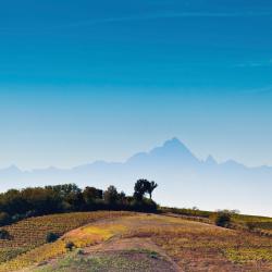 Grazzano Badoglio 13 hotels with parking