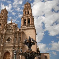 Chihuahua 133 hotelů