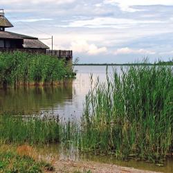 Fertőrákos B&B-ji (8)