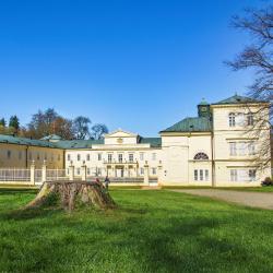 Lázně Kynžvart 3 apartments