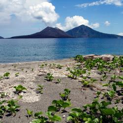 Tanjung Lesung 4 chalupy