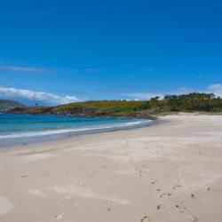 San Vicente do Mar 3 vacation homes