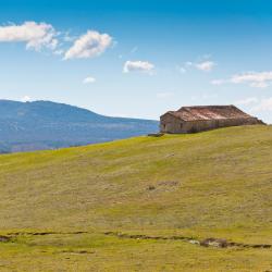 Palomera 3 alojamientos con cocina