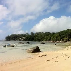 Pointe Au Sel  14 間飯店