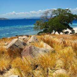 Maumere 3 homestays