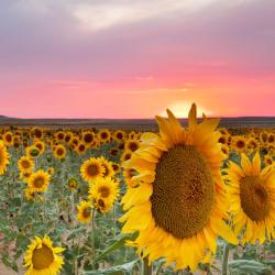 Salda&ntilde;a 4 self-catering accommodations