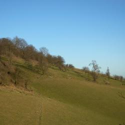 Charing 3 pet-friendly hotels