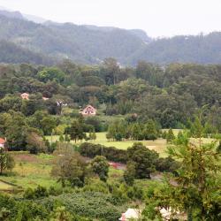 Santo da Serra 10 villas
