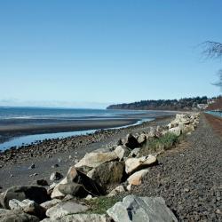 White Rock 3 pet-friendly hotels