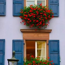 Hugstetten 1 hotel