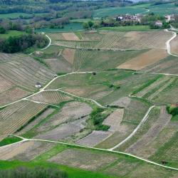 Château-Chalon 4 hotela