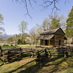 Elizabethton 12 hotels