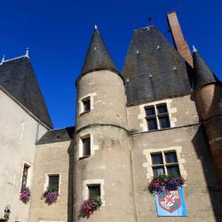 Aubigny-sur-Nère 4 kæledyrsvenlige hoteller