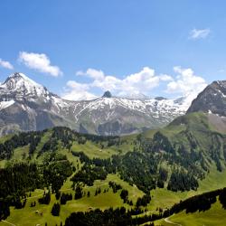 Adelboden 4 villas