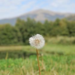 Claix 5 hot&eacute;is com estacionamento