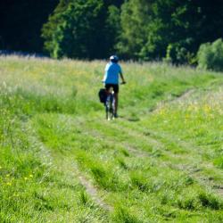 Pfreimd 3 family hotels