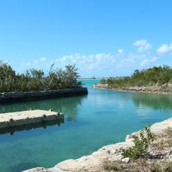 Hartswell 4 hotels