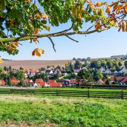 Mosbach 5 hotels
