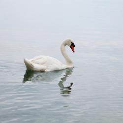 Yvonand 3 готелів з парковкою